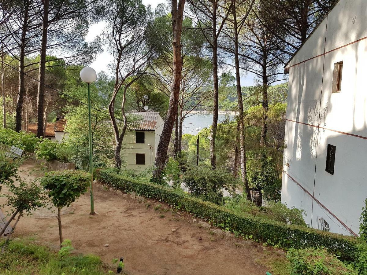 Retiro Chic Frente Al Lago - A 1 Hora De Madrid, Pantano De San Juan Сан-Мартин-де-Вальдейглесьяс Экстерьер фото